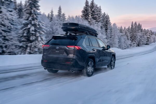 cover accesoriul lunii